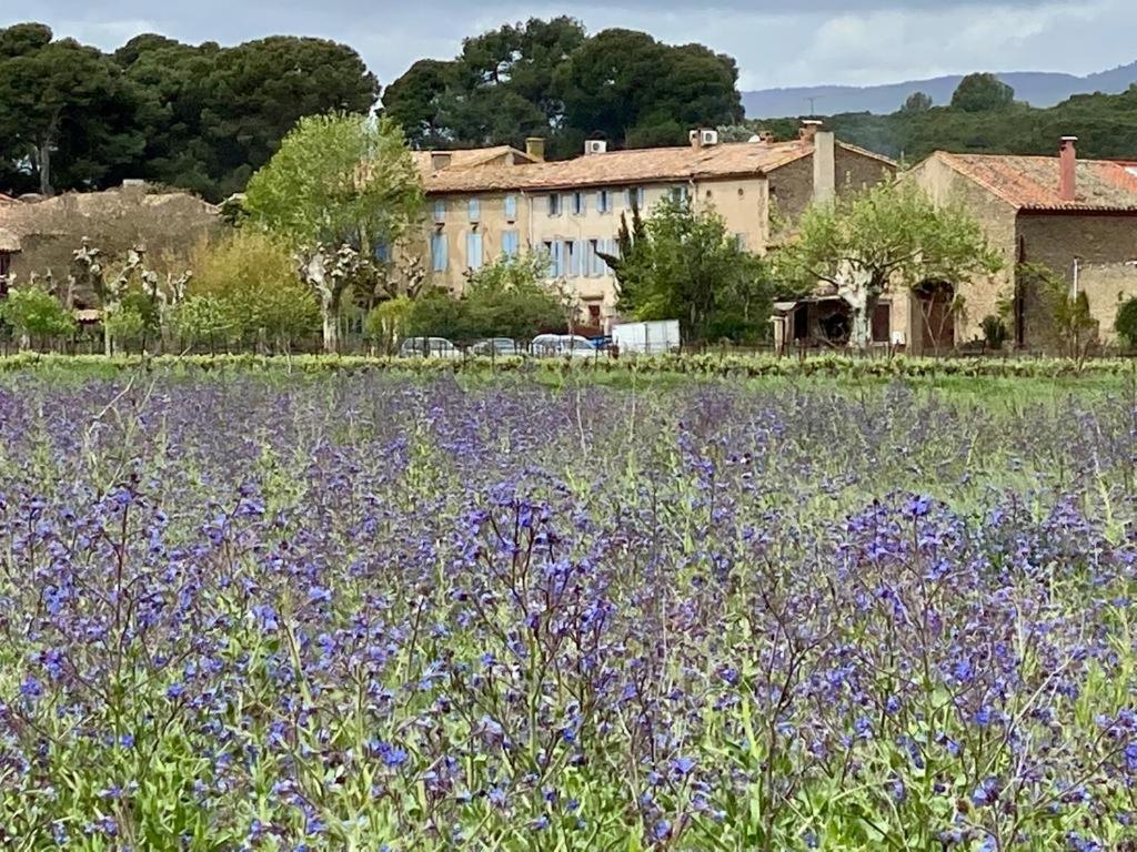 Le Relais D'Affiac Bed & Breakfast Peyriac-Minervois Bagian luar foto