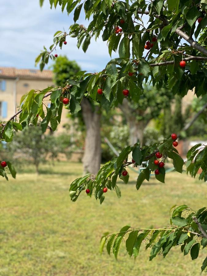 Le Relais D'Affiac Bed & Breakfast Peyriac-Minervois Bagian luar foto