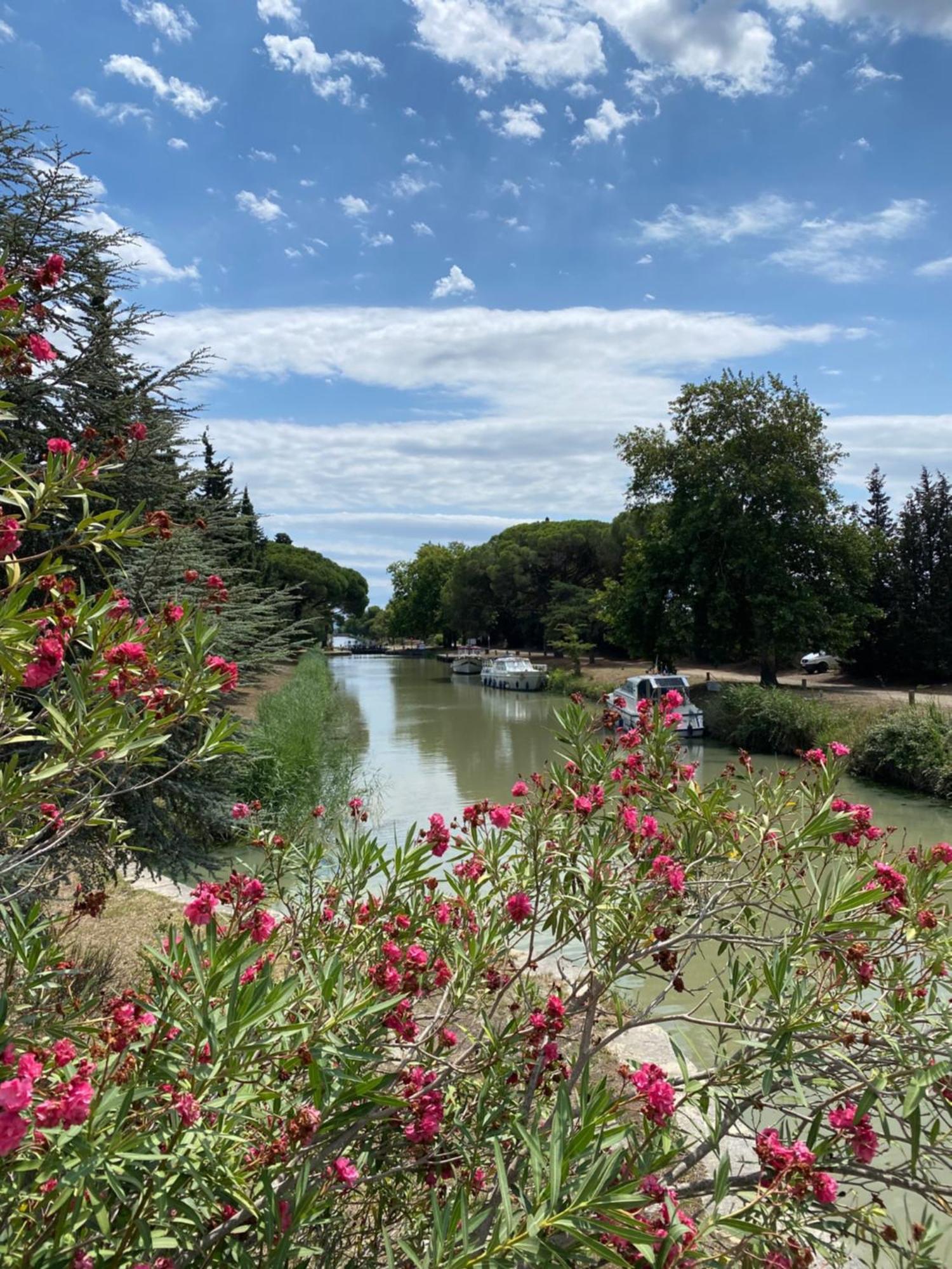 Le Relais D'Affiac Bed & Breakfast Peyriac-Minervois Bagian luar foto